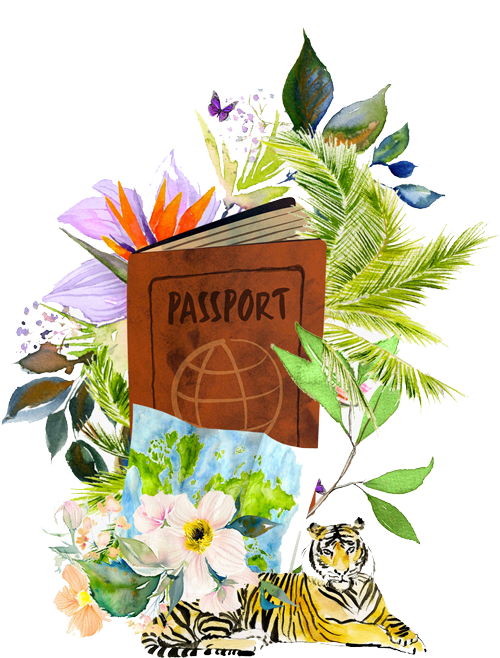 Passaporto - Fidelity